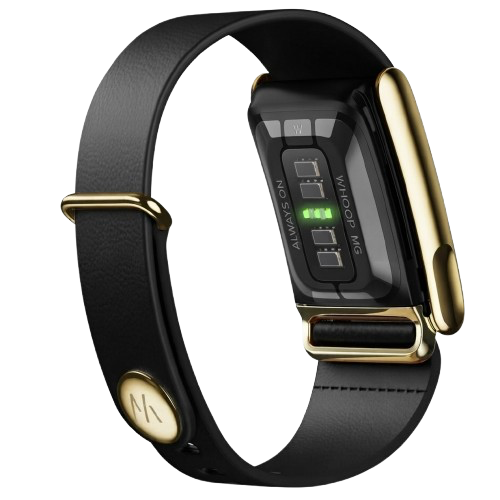 WHOOP LIFE MG - LEATHERLUXE MG TAPERED BLACK WITH GOLD