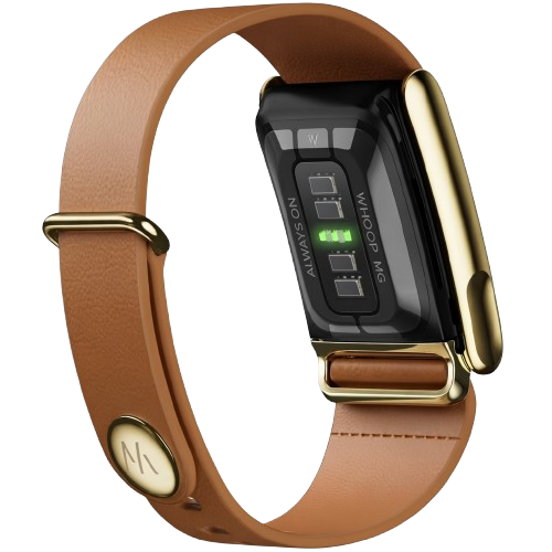 WHOOP LIFE MG - LEATHERLUXE MG TAPERED CAMEL WITH GOLD