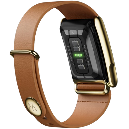 WHOOP LIFE MG - LEATHERLUXE MG TAPERED CAMEL WITH GOLD