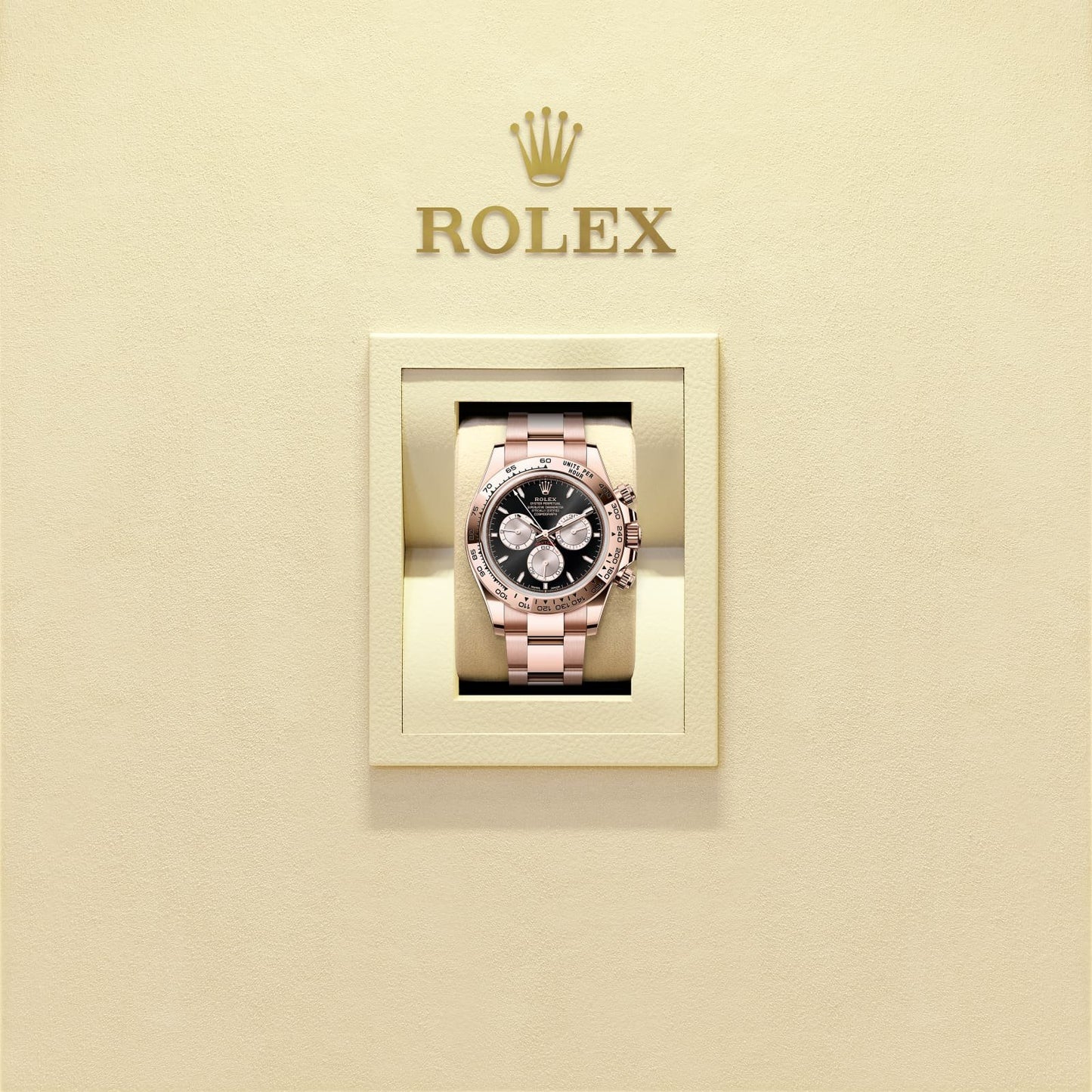 ROLEX COSMOGRAPH DAYTONA (BLACK DIAL)